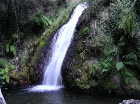 cascadas cerca de leon|Las 5 mejores cascadas en León: Cómo llegar y